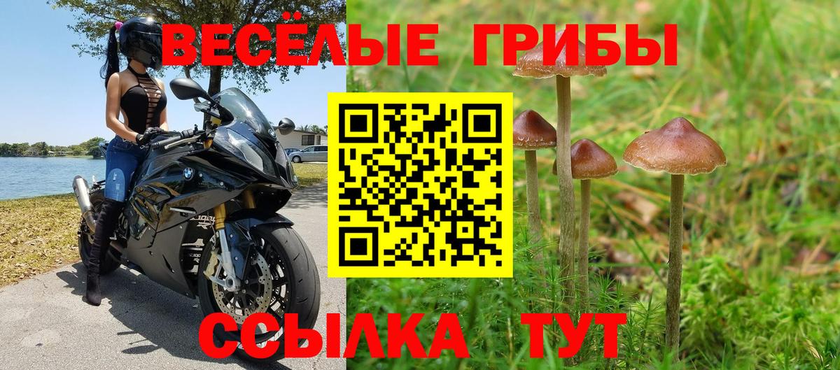 Псилоцибиновые грибы ЛСД Елабуга