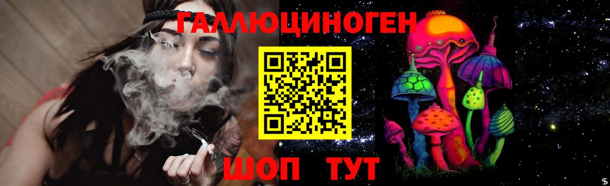 Елабуга  Псилоцибиновые грибы Psilocybine cubensis  Вход с VPN 
